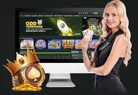 Pengalaman mobile permata55 responsif